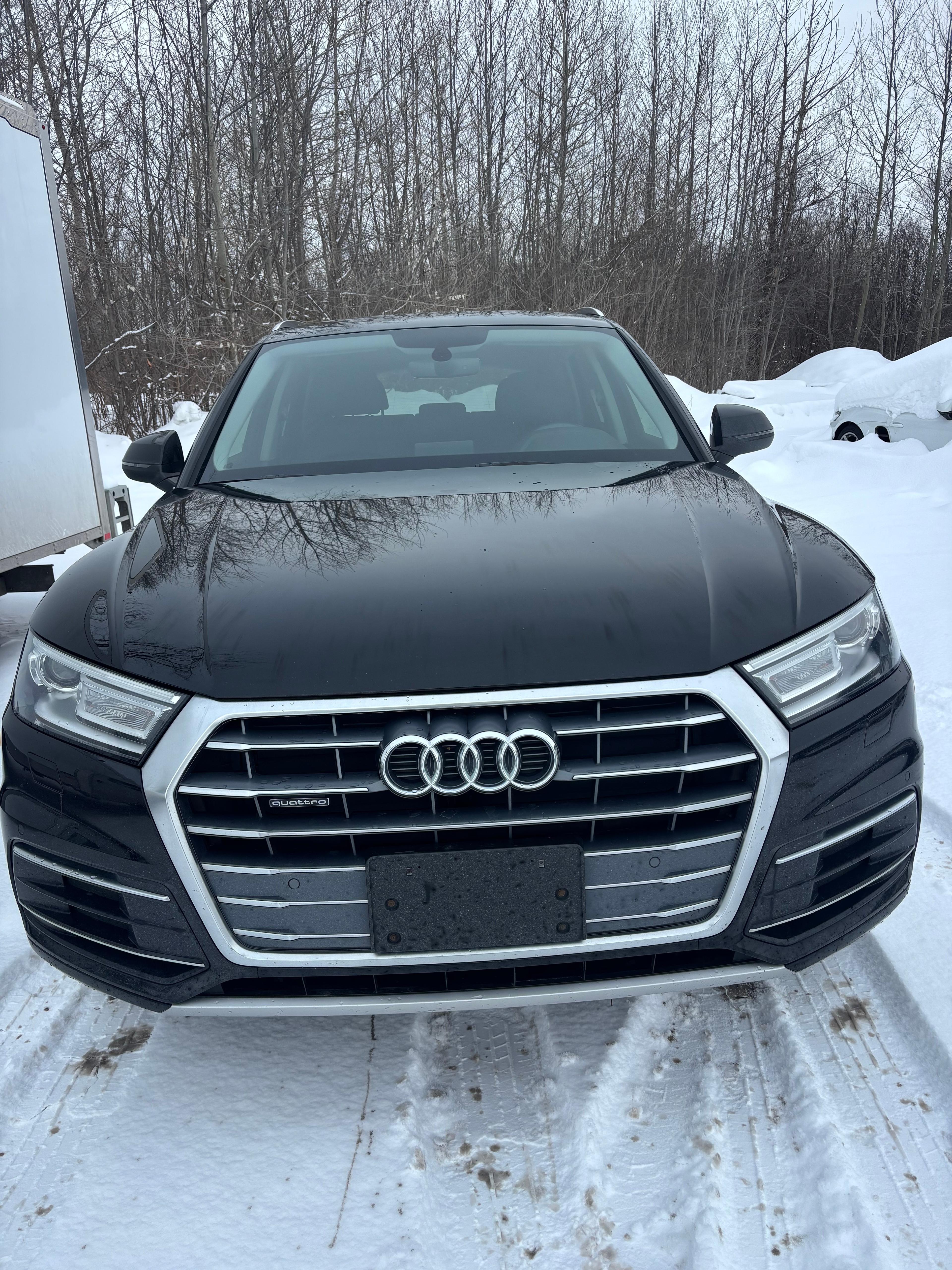 Audi Q5 2019 - Image 2